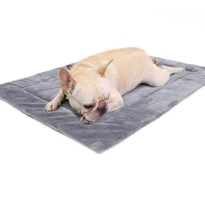 HeatPaw™ – Self-Heating Comfort Cushion