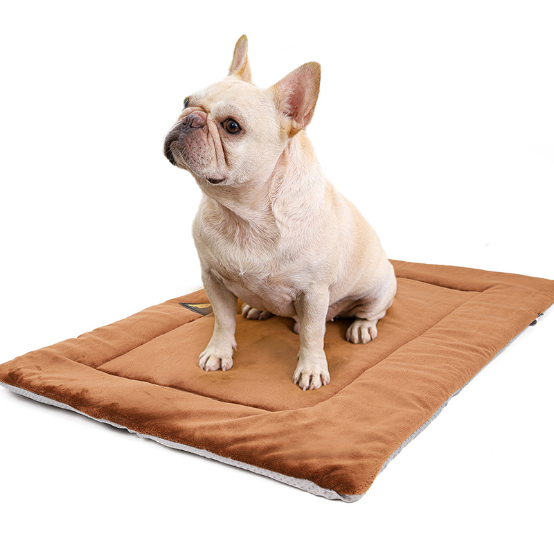 HeatPaw™ – Self-Heating Comfort Cushion